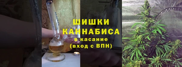 винт Богданович